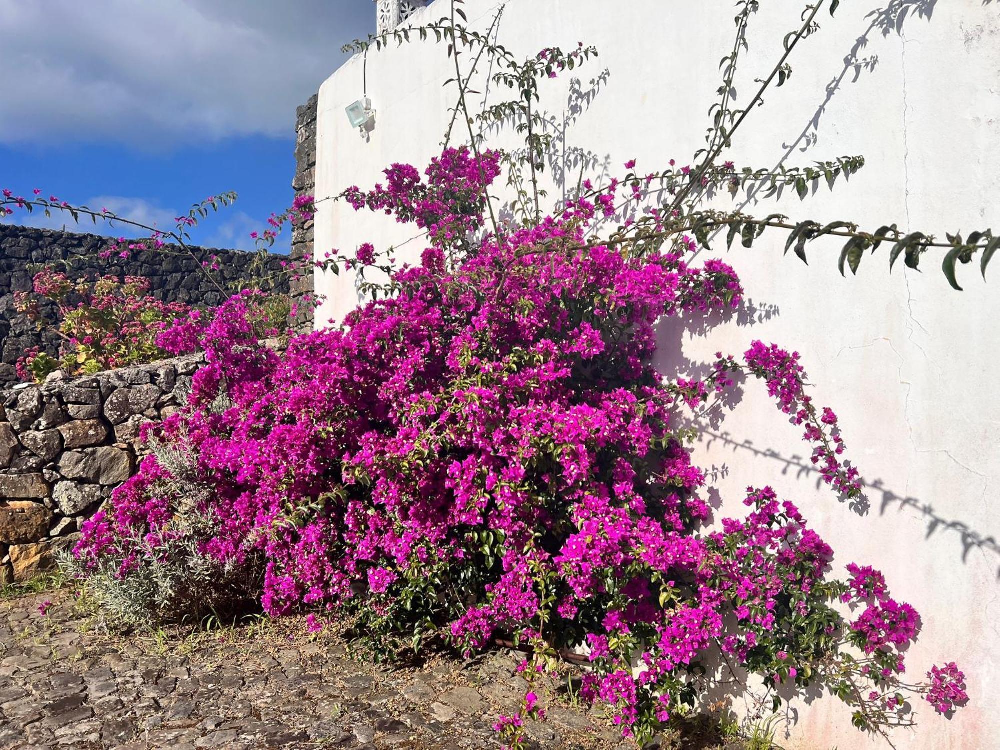 Willa Casa Do Becco Angra do Heroísmo Zewnętrze zdjęcie
